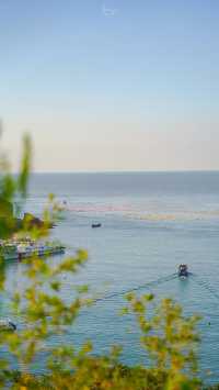 喺東極青浜島，住咗就唔想走嘅名宿