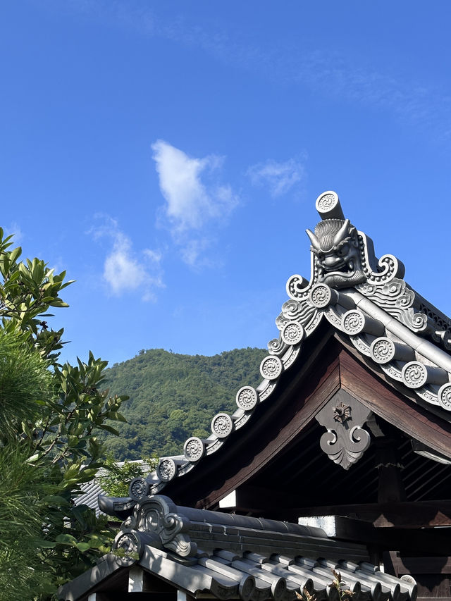 Kyoto, Japan’s Best Budget City? So Many Free Attractions! Everyone Can Come :D 
