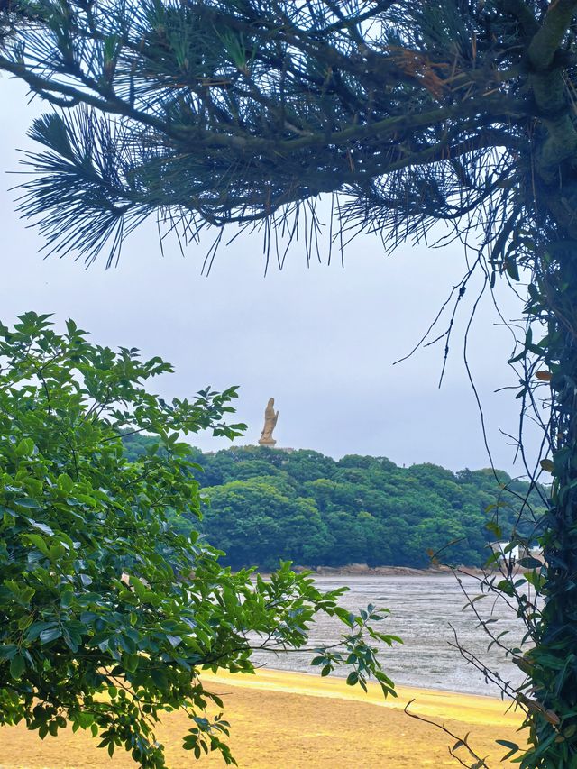 普陀山 入住花築奢·竹香居，沉浸式感受佛國禪意