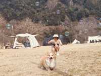 51Camp富陽山水營地 | 江浙滬逃離計劃