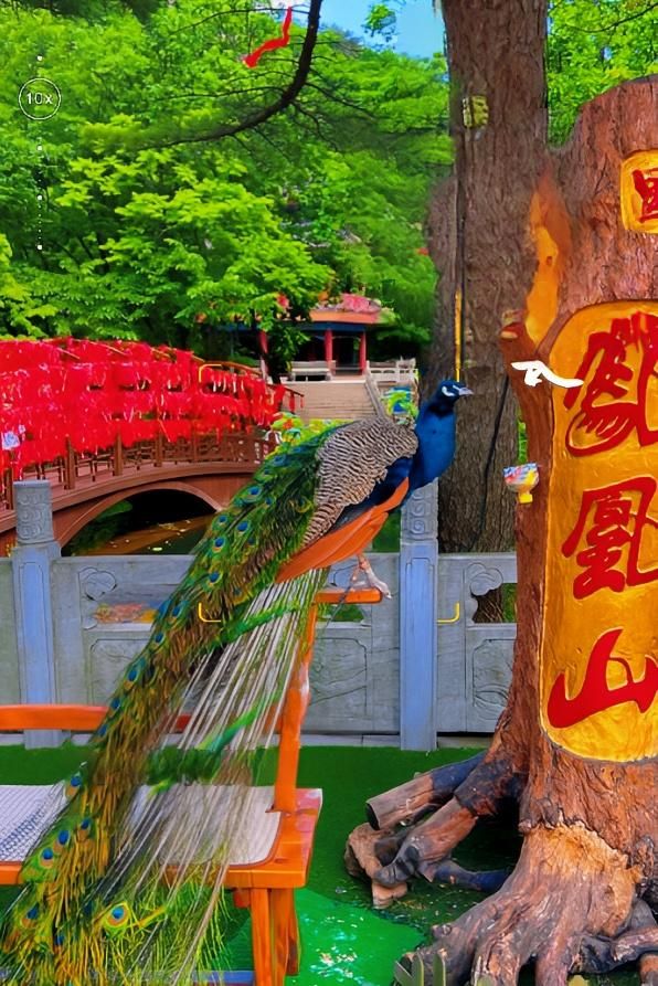 啱啱從丹東返嚟，講啲難聽嘅大實話