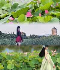 上海周邊｜夏日避暑首選蘇州太湖度假村