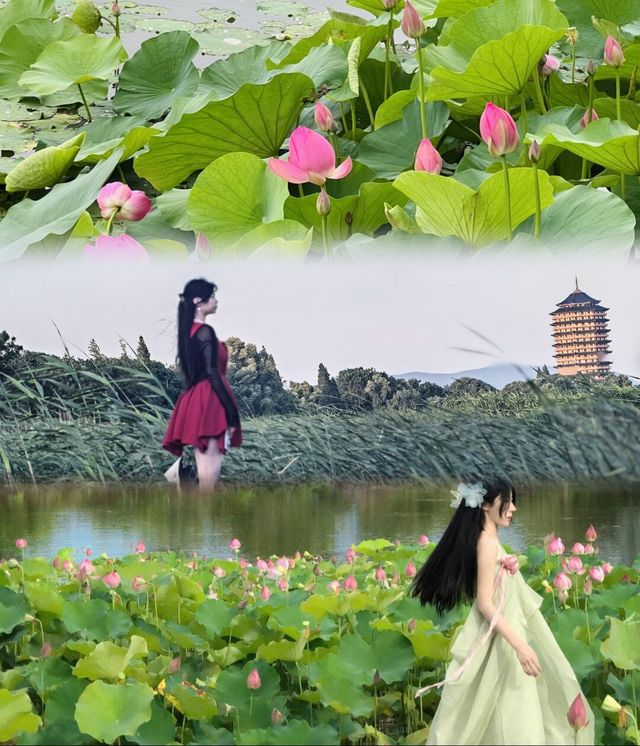 上海周邊｜夏日避暑首選蘇州太湖度假村