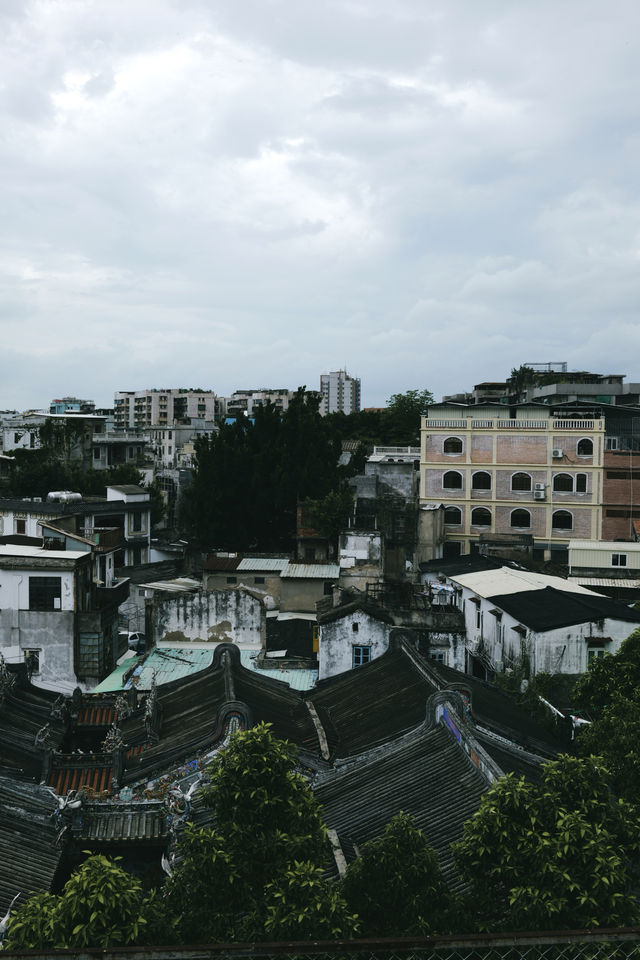 汕頭非物質遺產存心善堂