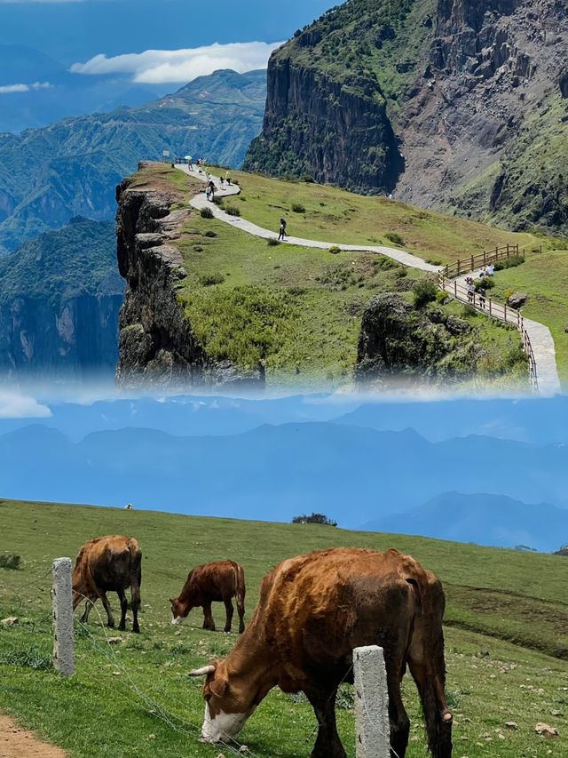 雲南大山包：黑頸鶴天堂，雲端徒步勝地