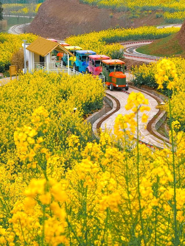 宜賓旅遊攻略：山水人文與美食嘅完美邂逅