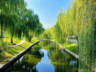 Must-See Shandong Travel Guide