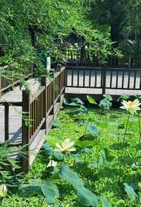 住錦江之星品尚，逛五緣灣濕地公園