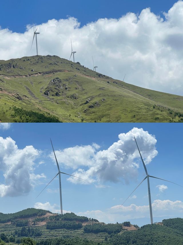 曲靖會澤大海草山｜闖入「東方新西蘭」的雲端牧場