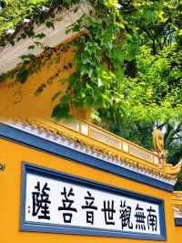 普陀山一方淨土  三柱清香 願所求皆所願 所願皆所期