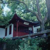 在孤山漫遊，西泠印社至最美轉角都留下蹤跡
