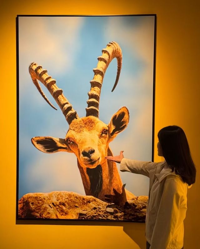 昆明新展！！BBC EARTH展覽超震撼！