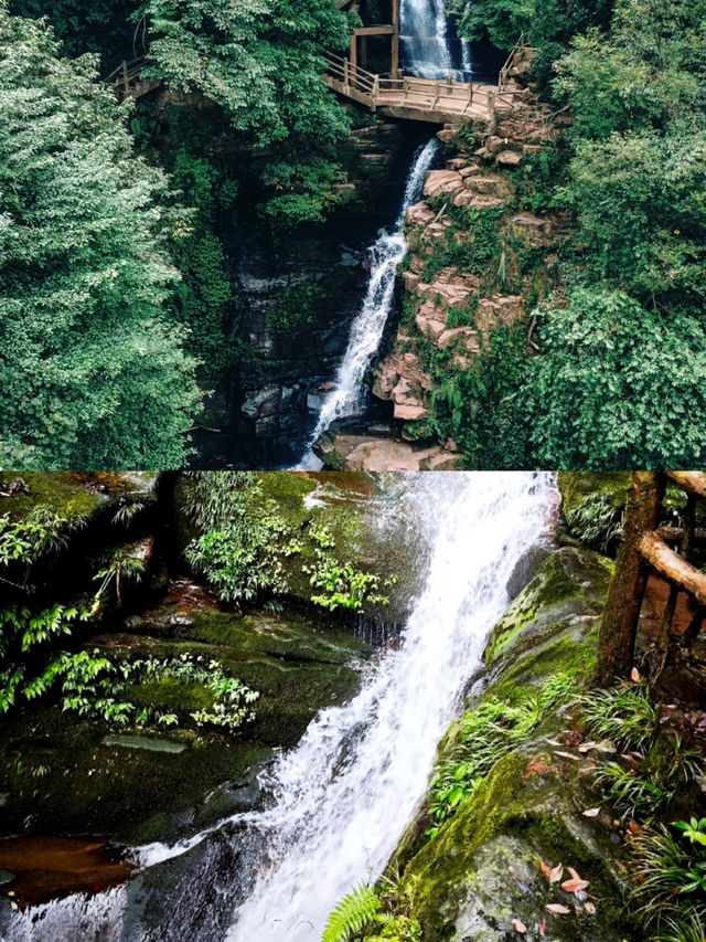 雅安碧峰峽已回，亂讀中。。。。。