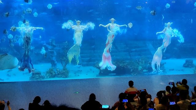 拍照絕美的重慶巴南漢海海洋公園