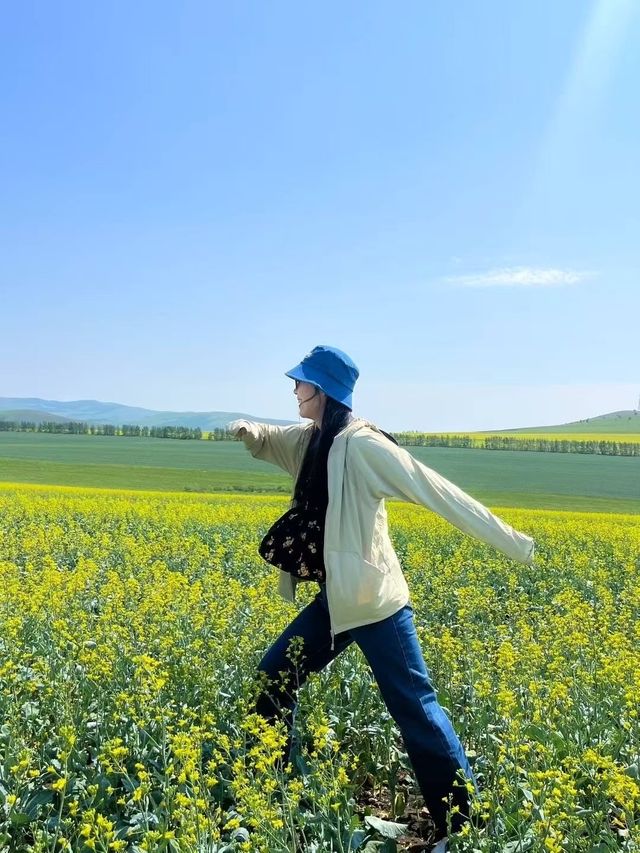 鋪向天際的綠野詩篇 邂逅北疆最溫柔的夏天