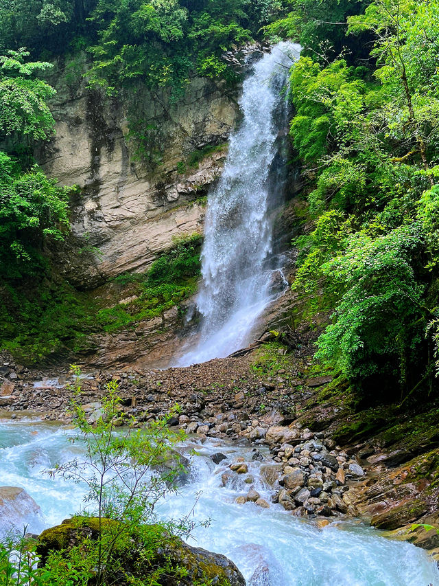 成都3h直達|23℃森林裡找到避暑天堂！
