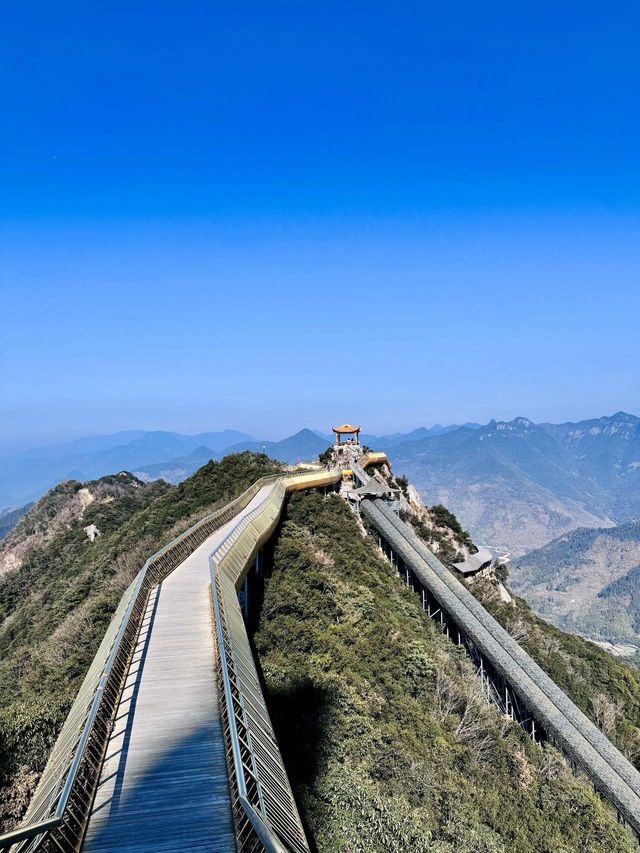 朋友圈都被問到爆