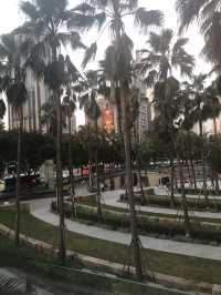 7-Day Shenzhen Itinerary: A Perfect Mix of Culture, Fun, and Modernity