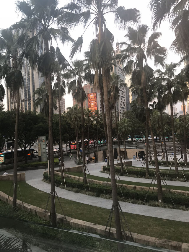 7-Day Shenzhen Itinerary: A Perfect Mix of Culture, Fun, and Modernity