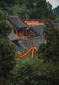 玄中寺：淨土祖庭的千年回響