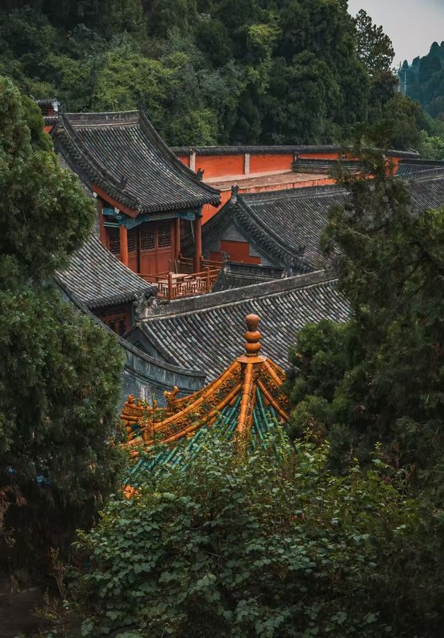 玄中寺：淨土祖庭的千年回響