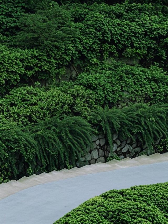 西安親子遊|帶娃住進法國電影裡的山間民宿 西安親子遊|帶娃住進法國電影裡的山間民宿