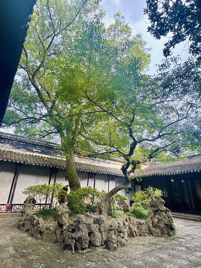 一眼知江南！同里才是真·枕水煙火人間！