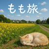 もも旅カメラ
