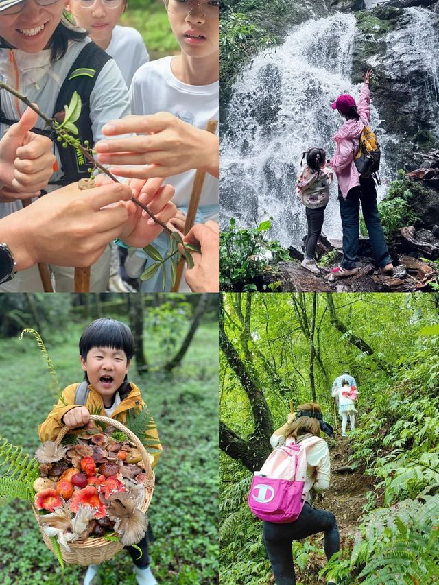 被激讚！騰衝親子5日，連住野奢溫泉酒店