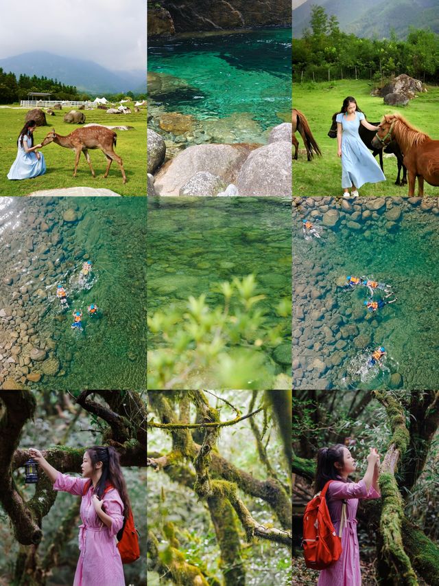 在貓兒山，解鎖「華南之巔」的N種寶藏玩法