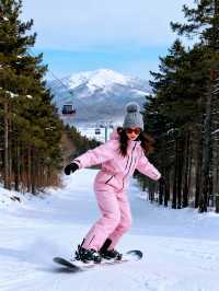 冬季哈爾濱+雪鄉+長白山+延吉7日遊攻略