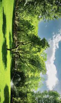 藏不住了！西寧植物園竟成影視劇取景地