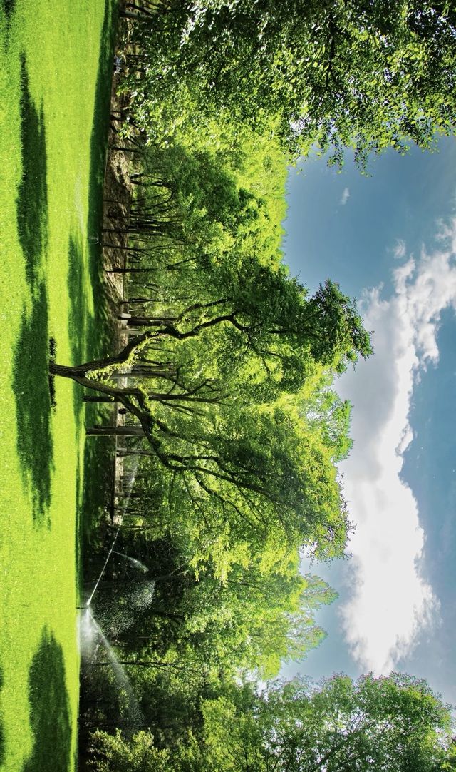 藏不住了！西寧植物園竟成影視劇取景地
