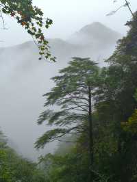 我看到的三清山