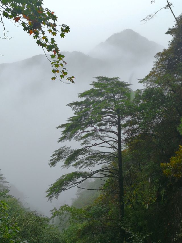 我看到的三清山