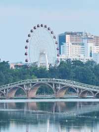 南寧南湖公園漫遊指南｜i人親測：20分鐘治癒所有疲憊～