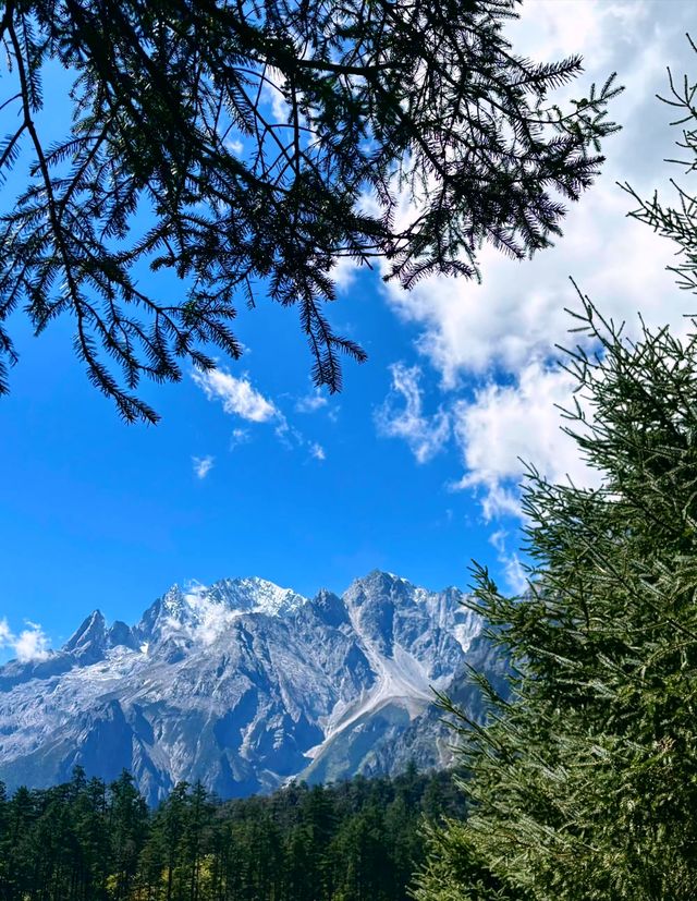雲杉坪藍月谷打卡必去地