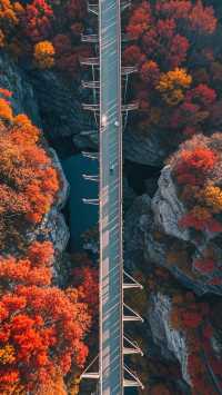 ：「阜平深秋暴擊！太行山私藏的“紅葉炸彈”終於藏不住了！
