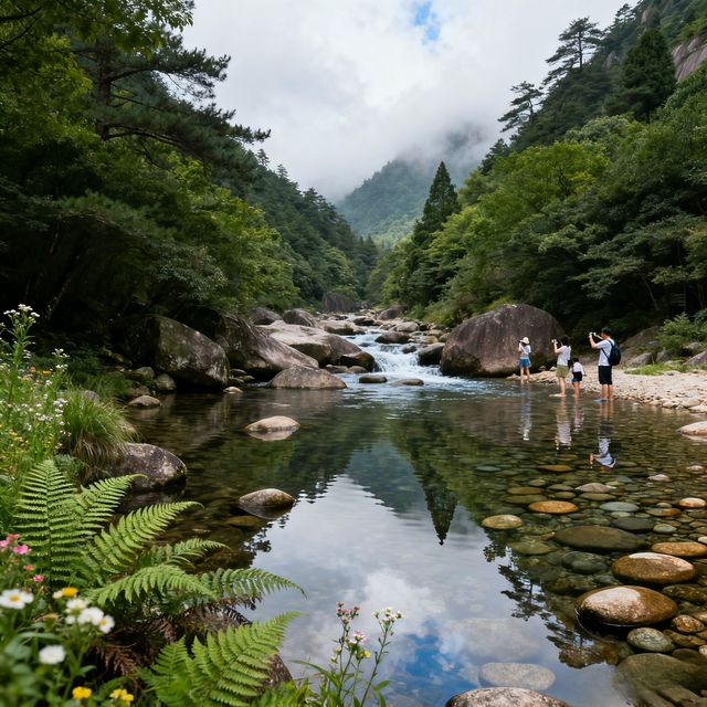 別再亂走！黃山3條經典路線實測，省時省力還能打卡90%美景