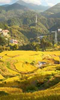 天台山秋色已封神