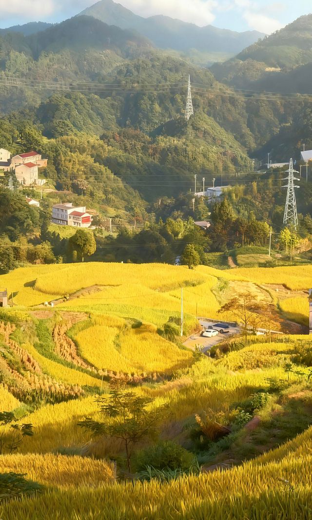 天台山秋色已封神