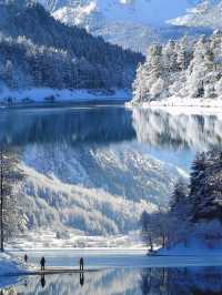 推薦一個超絕的看雪地方----四川畢棚溝｜南方人看雪狂喜攻略