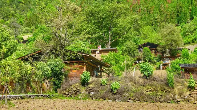丙中落神秘霧裡村