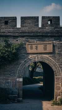 柘城一日遊旅遊攻略  行程亮點： 歷史文化、自然風光、美食體驗 適合人群： 學生黨、預算有限的旅行者