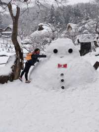 飛驒民俗村的那場大雪