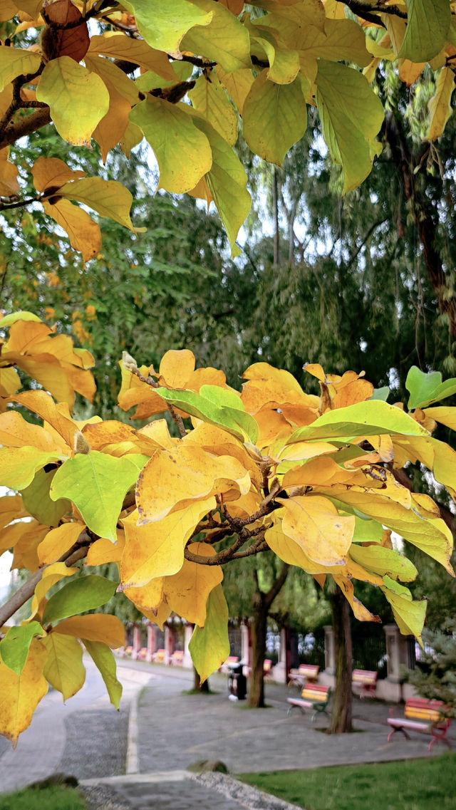 週末打卡臨夏絕美公園 週末打卡臨夏絕美公園