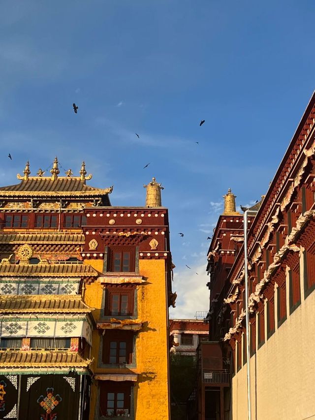 丁真家鄉深度遊：理塘必打卡景點！