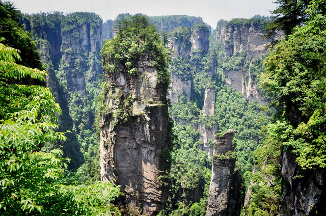 《阿凡達》拍得太保守了！武陵源才是真正的潘多拉星球！