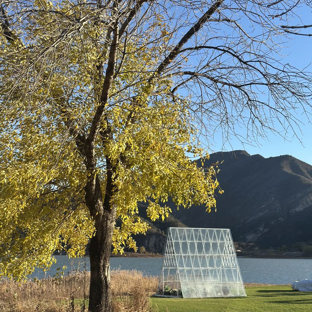  🍂 핑구 징하이호 '산에서 호수로' 당일치기 여행