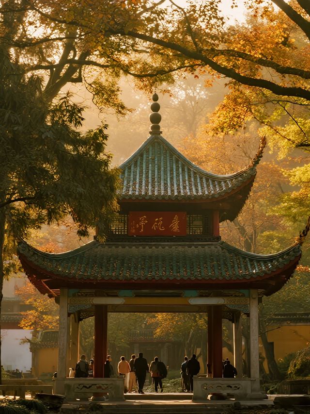 帶娃追秋婺源2天玩遍曬秋與柿子超治癒！